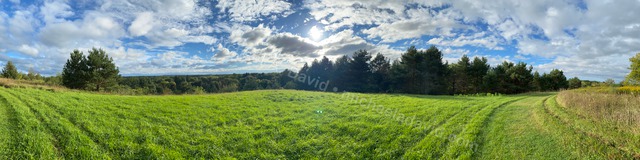 Nature panorama 2021